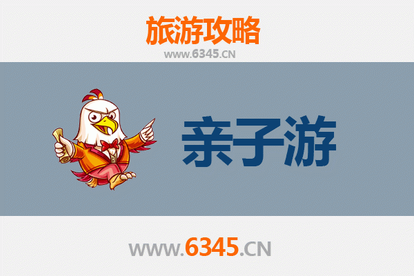 伊春五营亲子游攻略：探秘红松林海，共享自然野趣